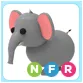 NFR Elephant