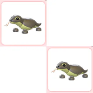 2x Komodo Dragon