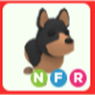 NFR Australian Kelpie