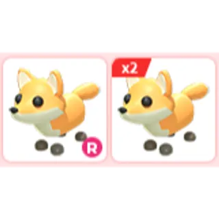 3x Red Fox