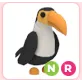 NR Toucan