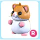 R Hamster