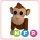 NFR Monkey