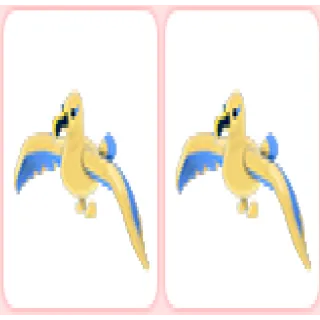 2x Golden Albatross