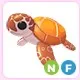 NF Sea Turtle