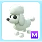 M Poodle