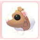 Chocolate Dutch Guinea Pig