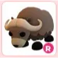 R Musk Ox