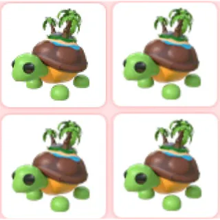 4x Tortuga De La Isla