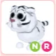 NR Lunar White Tiger