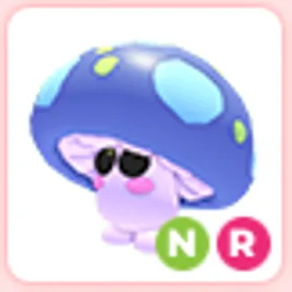 NR Mushroom Friend
