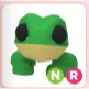 NR Frog