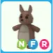 NFR Kangaroo