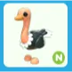 N Ostrich