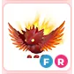 FR Solaris