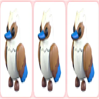 3x Kookaburra