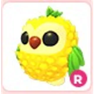 R Pineapple Owl