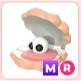 MR Happy Clam