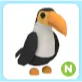 N Toucan