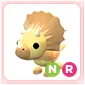 NR Triceratops