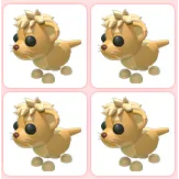 4x Lion Cub