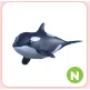 N Orca
