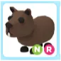 Pet | NR Capybara