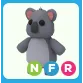 NFR Koala
