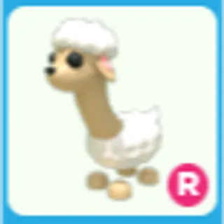 R Sheeeeep