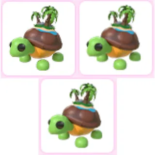 3x Tortuga De La Isla