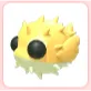 Puffer fish