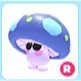 R Mushroom Friend