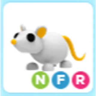 NFR Golden Rat