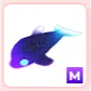 M Glormy Dolphin