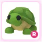 Pet | R Turtle