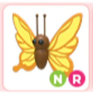NR Yellow Butterfly