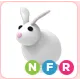 NFR Rabbit