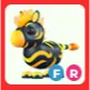 FR Flaming Zebra