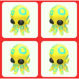 4x Blue Ringed Octopus