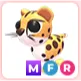 MFR Cheetah