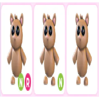 3x Tarsier