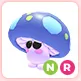 NR Mushroom Friend