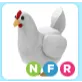 Pet | NFR Chicken