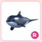 R Orca