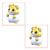 2x Golden Hamster