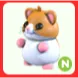 N Hamster