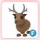 F Reindeer