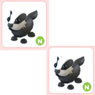 2x N Badger