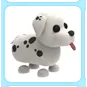 Pet | No Pot Dalmatian No Trick