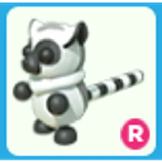 R Ring-Tailed Lemur